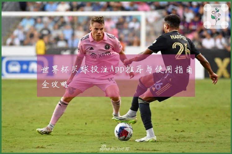 世界杯买球投注App推荐与使用指南全攻略