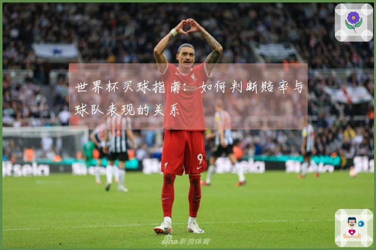 世界杯买球指南：如何判断赔率与球队表现的关系