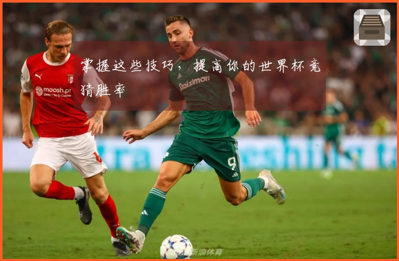 掌握这些技巧，提高你的世界杯竞猜胜率